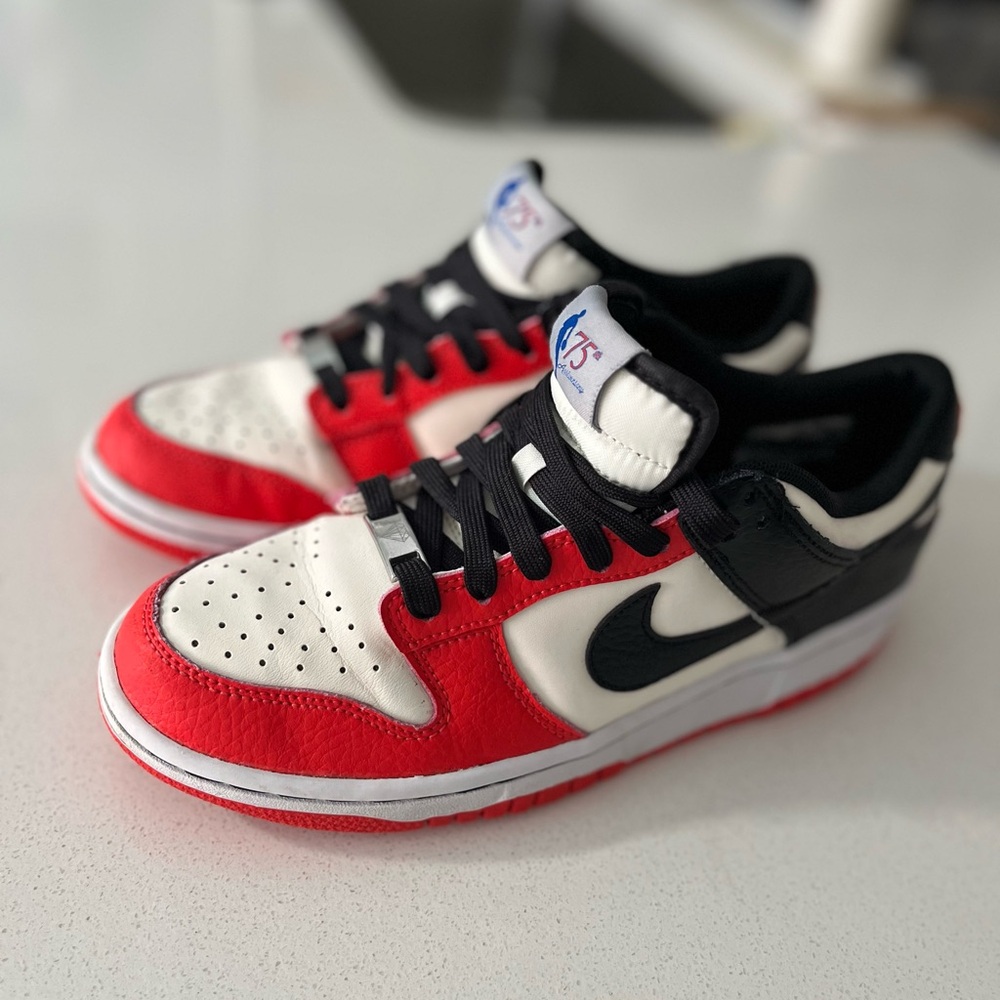 Nike Dunk 75th Anniversary Red / White Shoe Chicago 6 youth